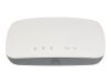 NETGEAR Business 2x2 DualB.Wls.AccessP